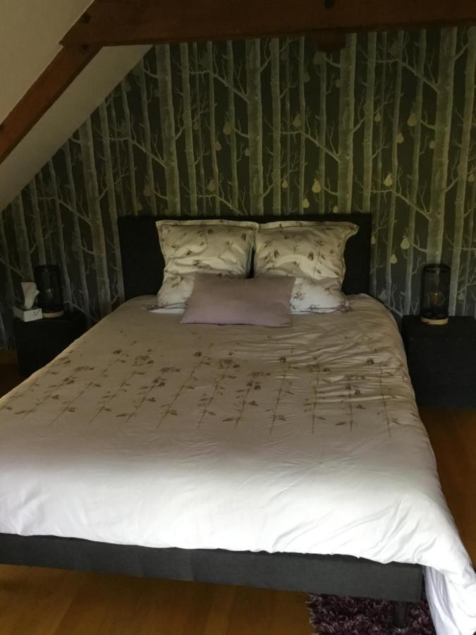 Janzé Chambre D Hote מראה חיצוני תמונה